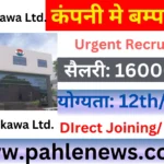 ALP Nisikawa Job Campus Placement 2025